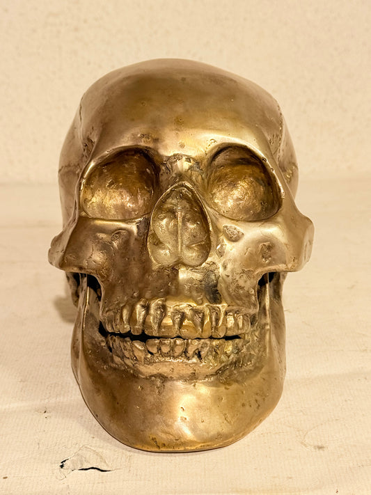 Vintage metal menneske kranie (Cranium homo sapiens)