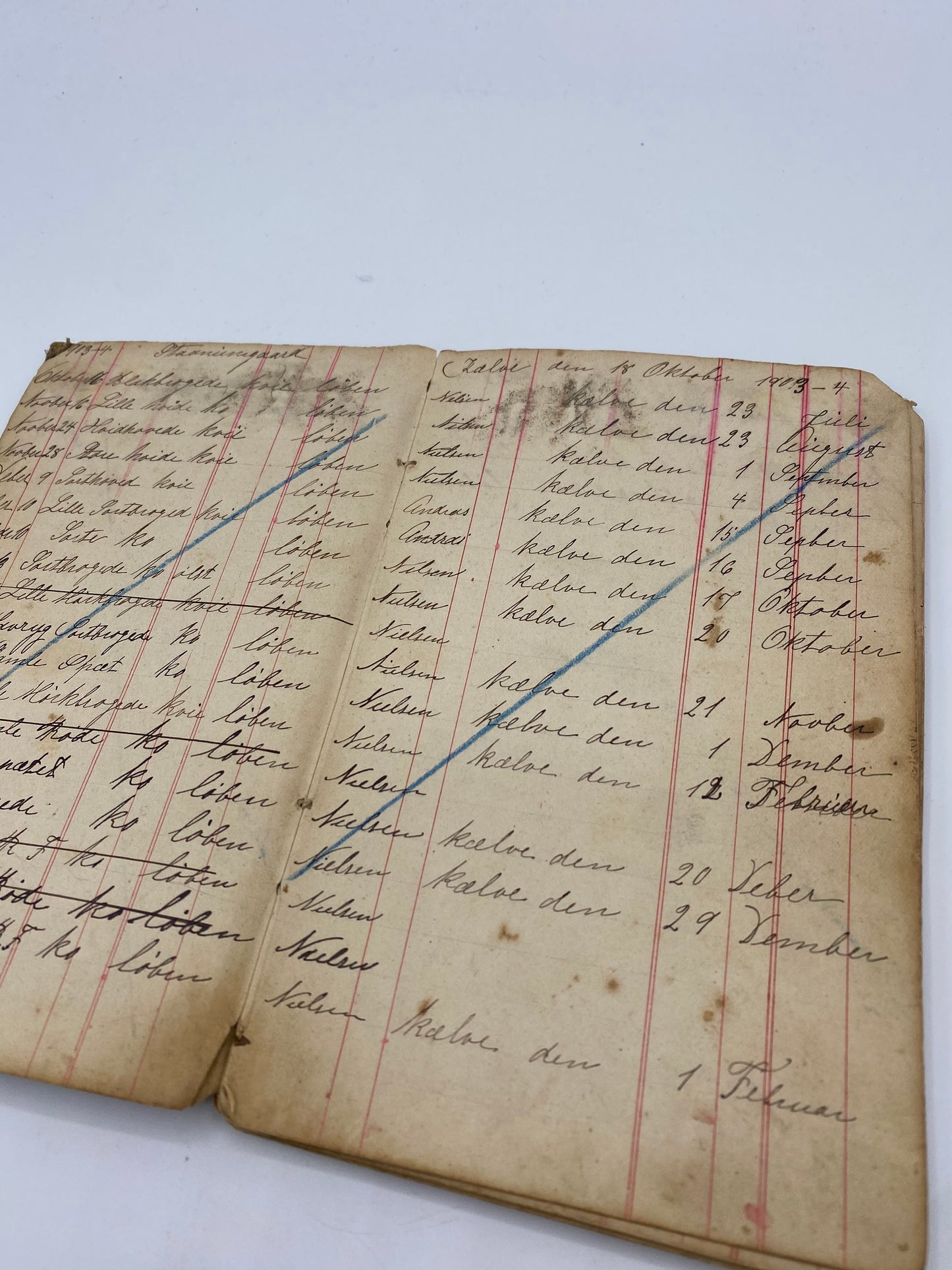 Antik dansk landbrugs notesbog med drægtighedstabel. Fra 1903-1930