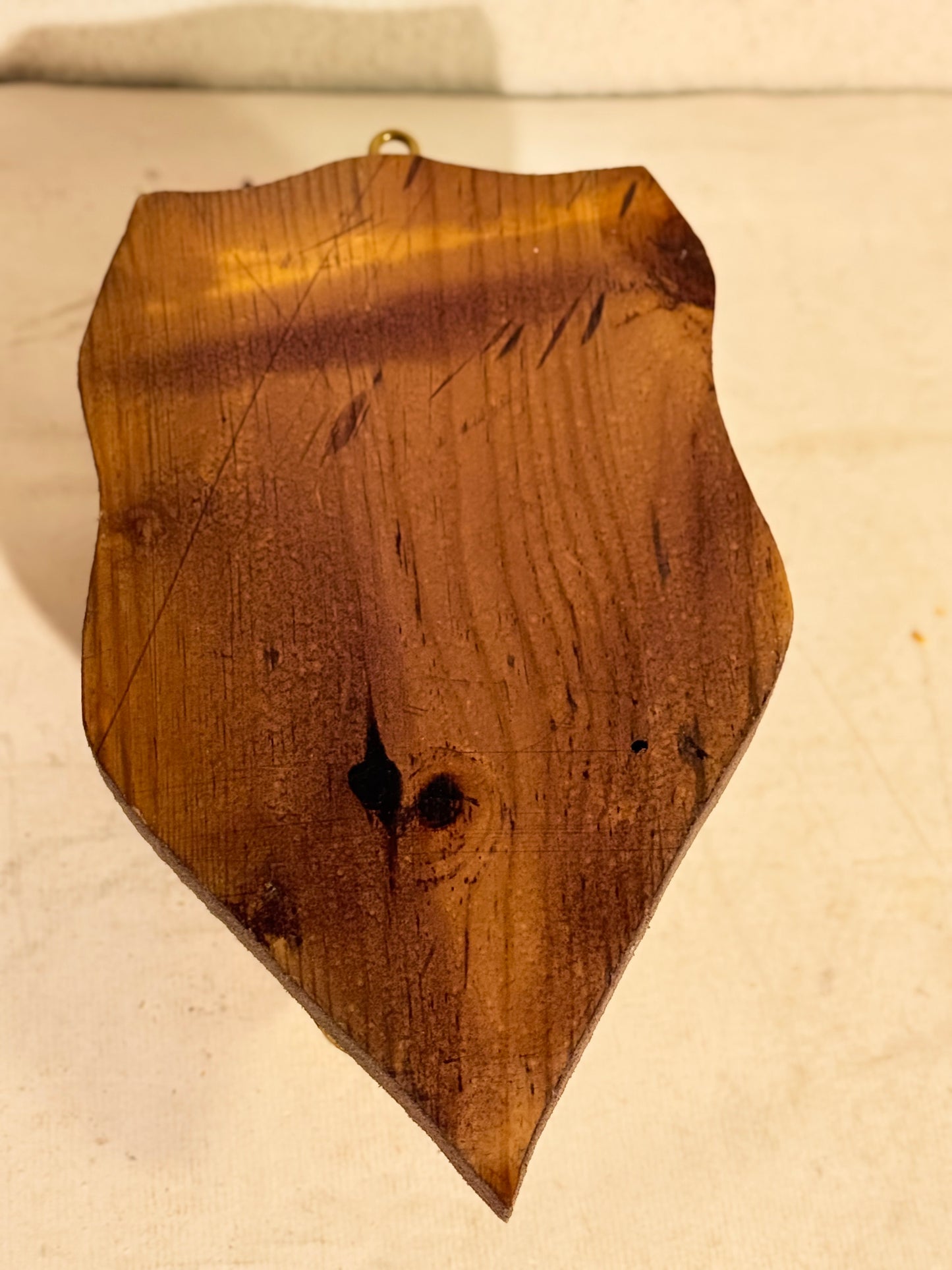 Antik Oribi antilope (Ourebia ourebi) på trofæplade. Start 1900 tallet