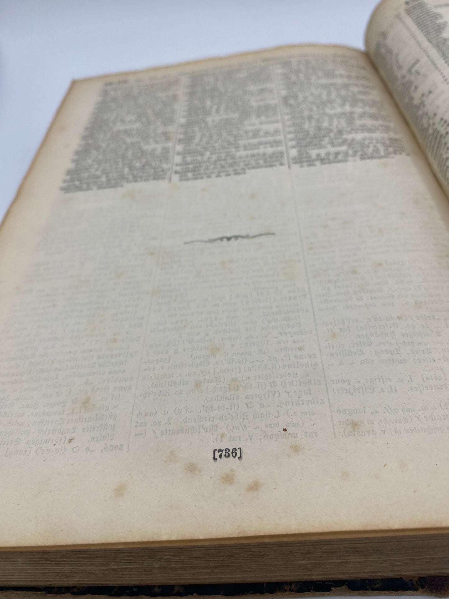 Encyclopädisches Wörterbuch. Af G. Langenscheidt. Antikvarisk fransk-tysk ordbog. 2. Udgave. 1. Oplag. Fra 1882