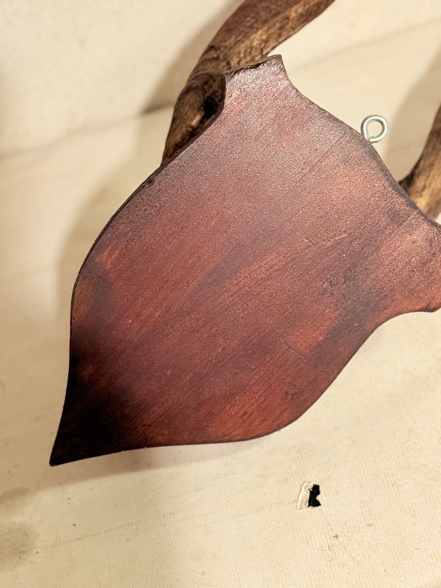 Antik Kudu antilope (Tragelaphus strepsiceros) på trofæplade. Start 1900 tallet.