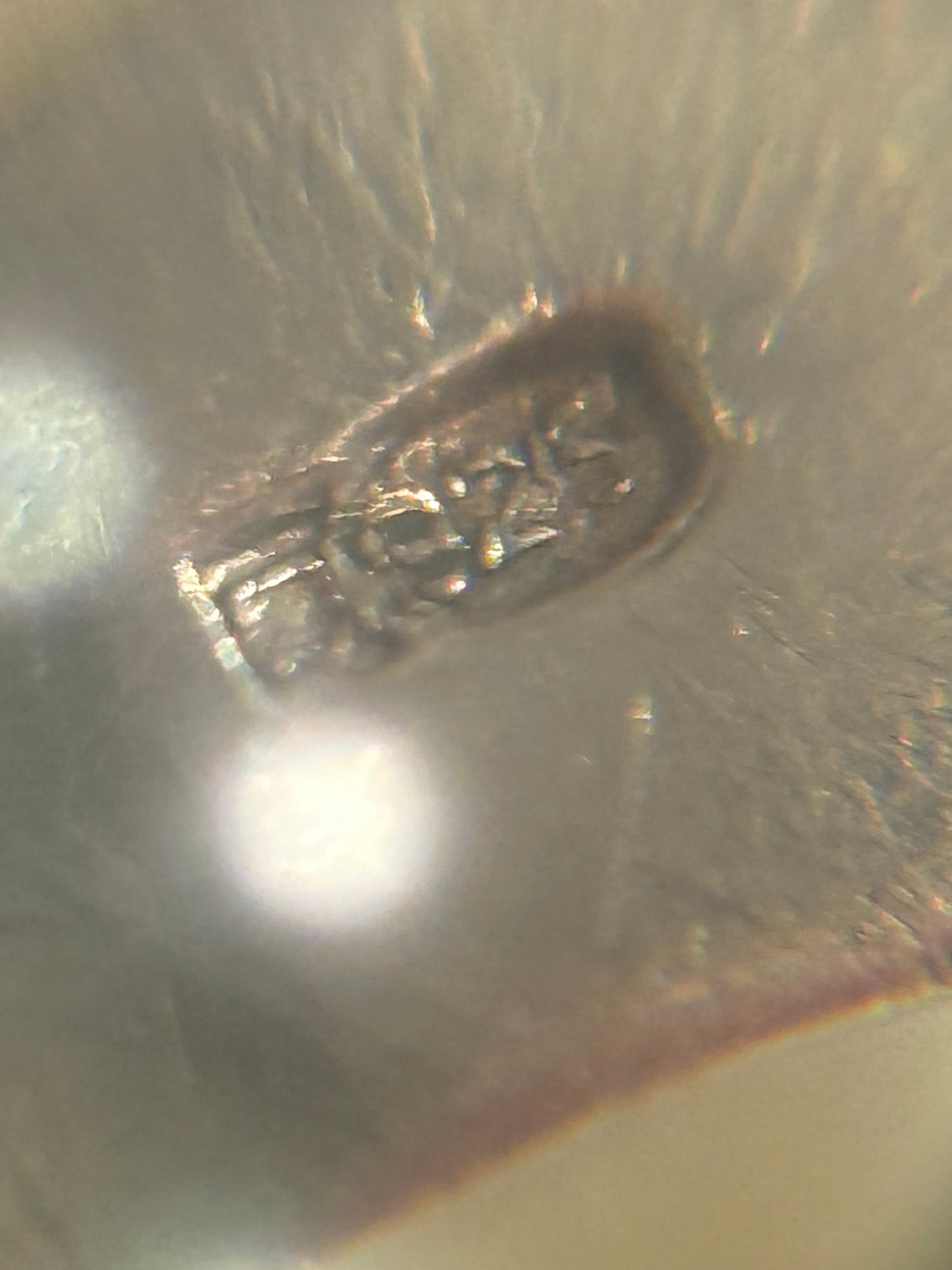 Vintage sterling sølv herre signet ring. Midt/slut 20.Årh