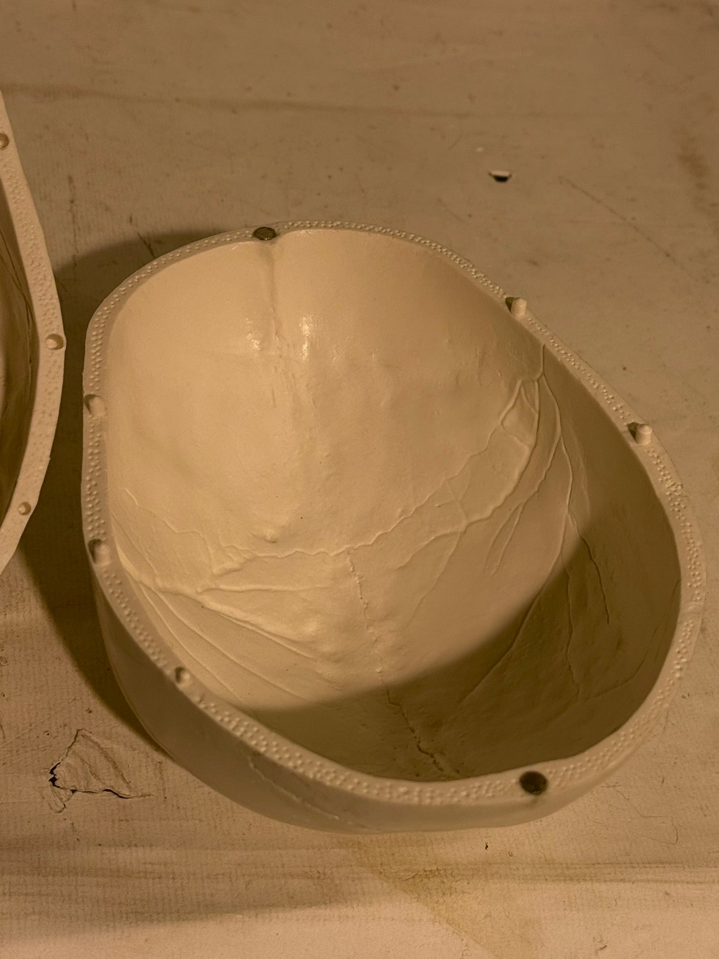 Vintage medicinsk menneske kranie (Cranium homo sapiens) i hård plast.