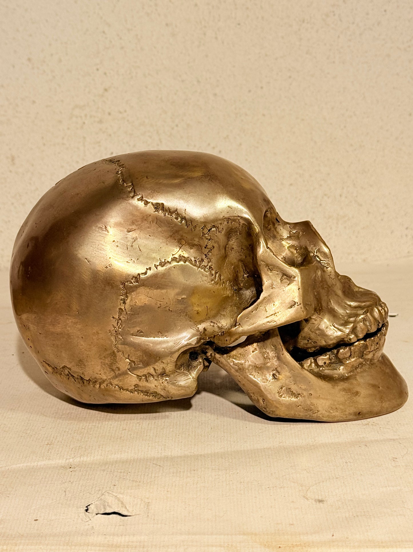 Vintage metal menneske kranie (Cranium homo sapiens)