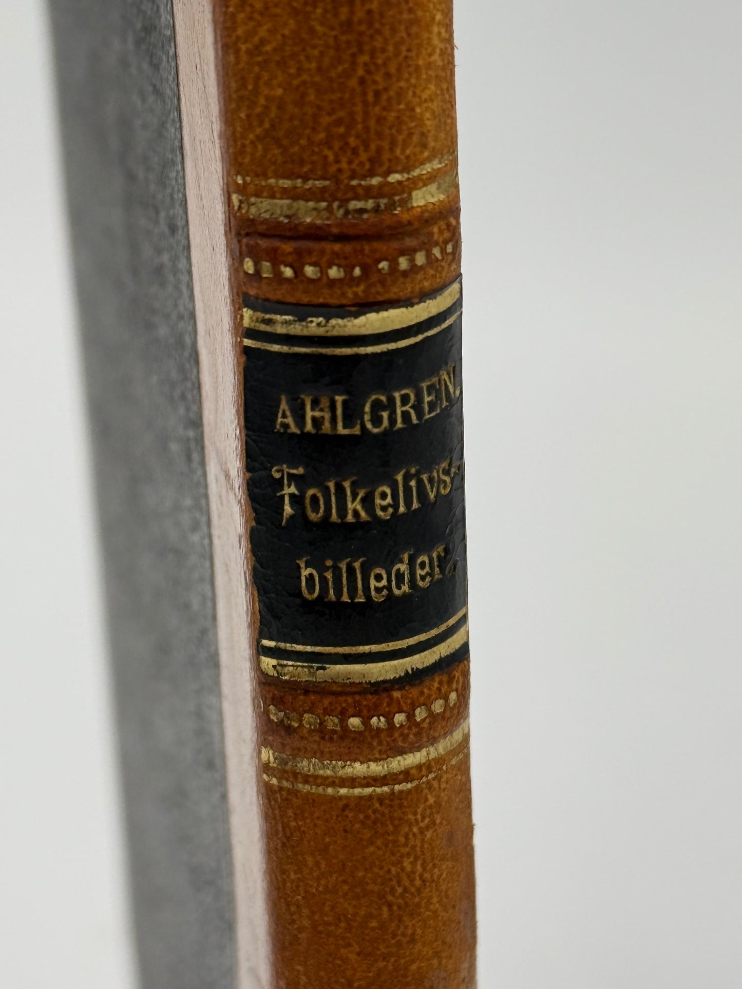 Folkelivsbilleder. Af Ernst Uhlgren. Antikvarisk dansk bog. 1.Udgave. 1.Oplag. Fra 1888