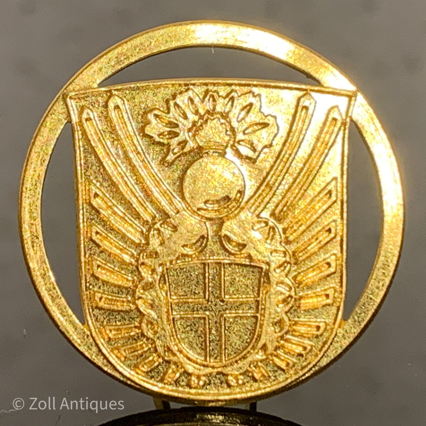 Emblem of the Civil Defense.