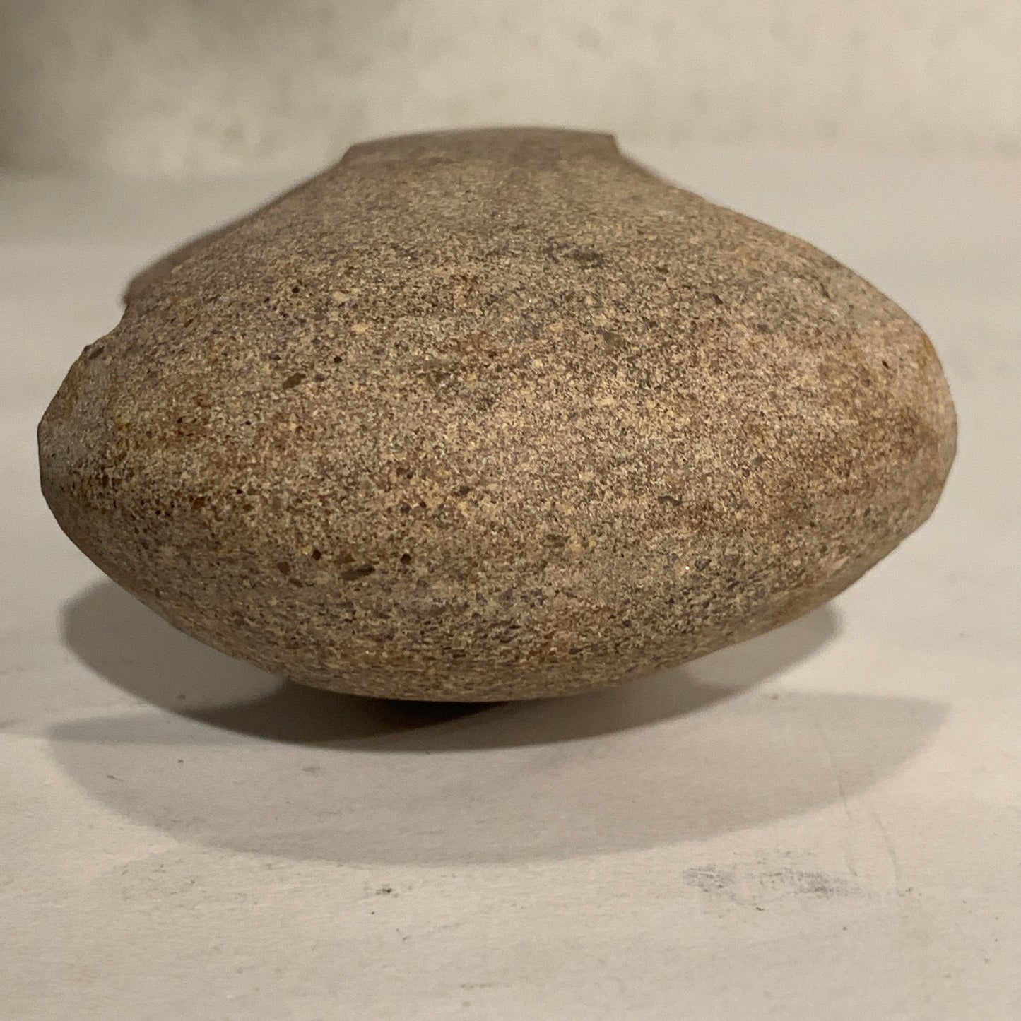 Danish Stone Age. Double-Bladed Axe with socket in rock, Tragtbægerkultur 4000-2800 BC.