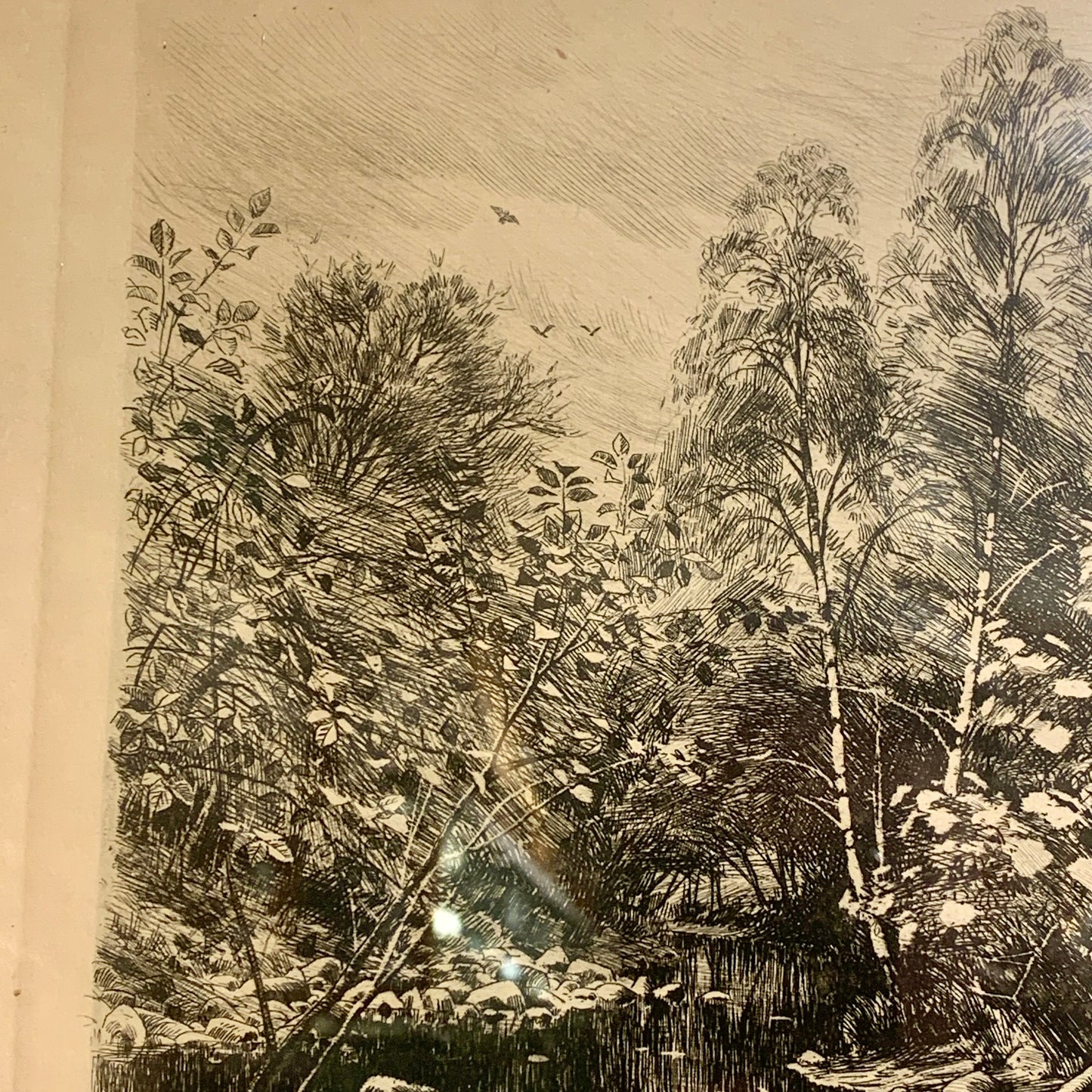 Peder Mørk Mønsted (f.1859-1941.) Radering af skovparti, fra 1902.