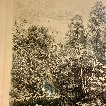 Peder Mørk Mønsted (f.1859-1941.) Radering af skovparti, fra 1902.