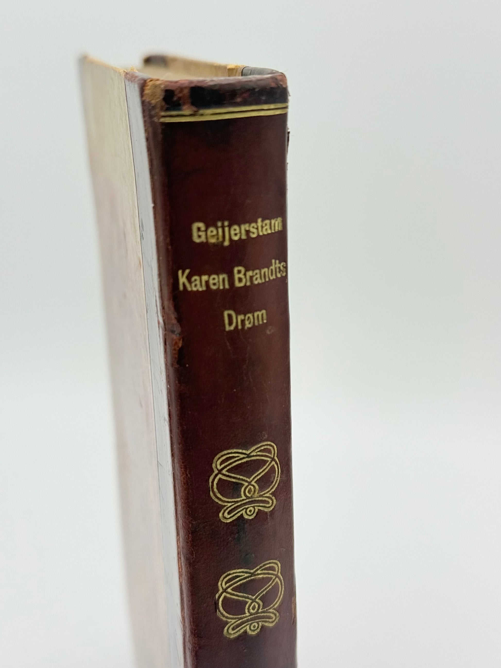 Karen Brandts Drøm. Af Gustaf af Geijerstam. Antikvarisk dansk bog. 1. Udgave. 1. Oplag. Fra 1905