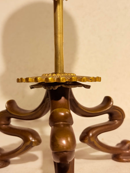 Originalt antikt menneske kranie, med 18K guldtand og udstillingsstativ. (Cranium homo sapiens)