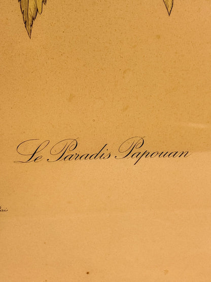Le Paradis Papuan. Antique French copper engraving from the 19th century