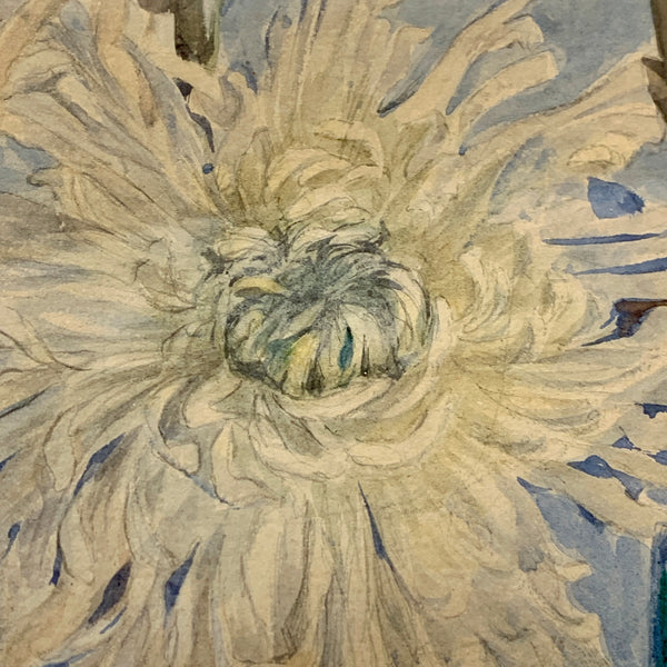 Chrysanthemum blomster. Signeret antik akvarel maleri fra 1910.