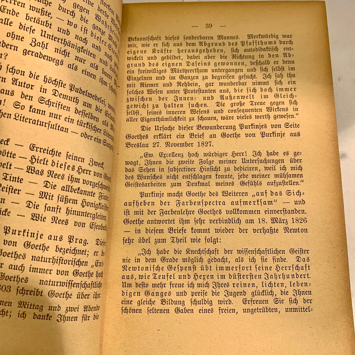 Sebastian Brunner, Der Goethecult.., 1. Udgave, fra 1889. Antikvarisk tysk bog.