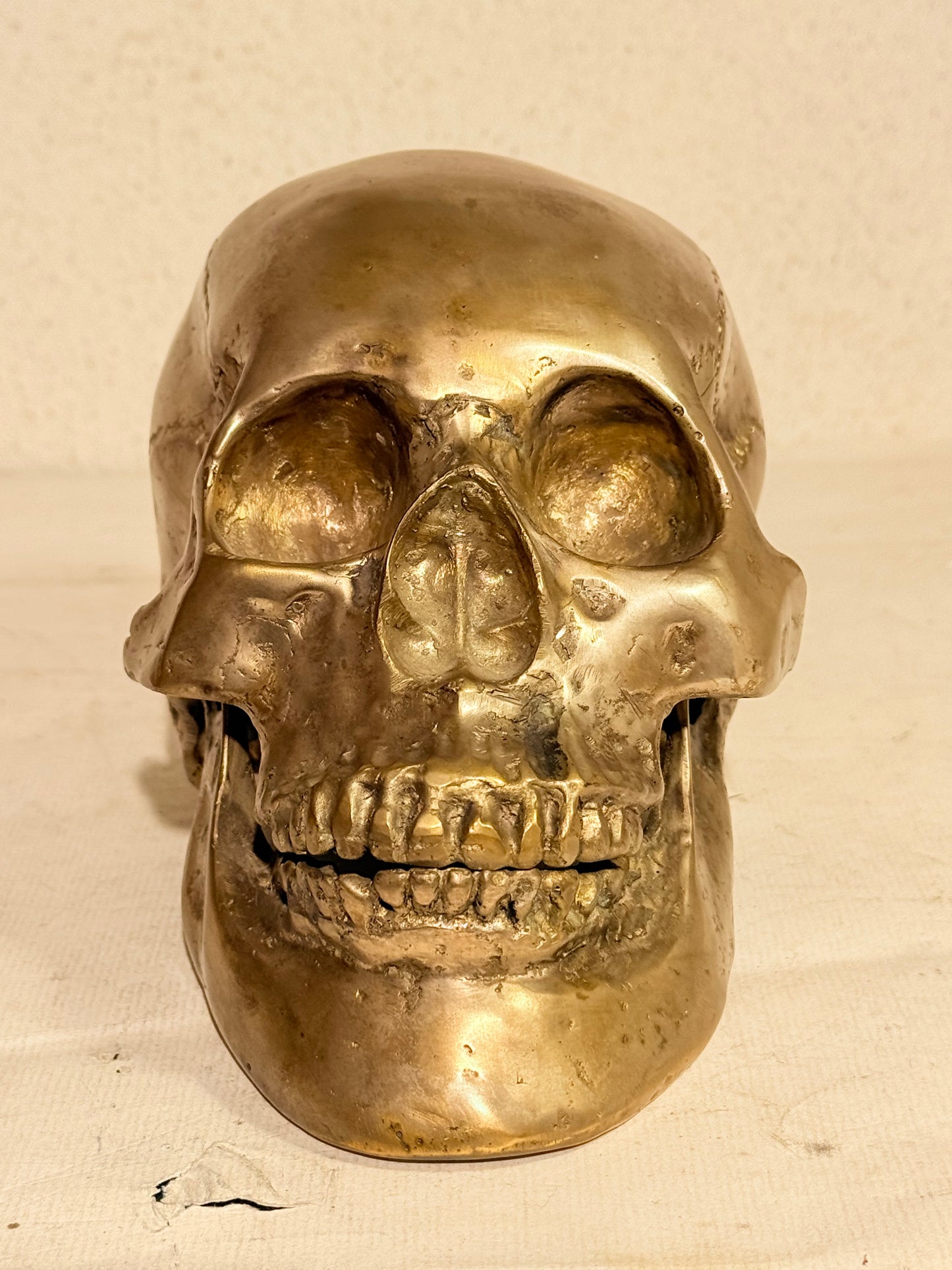 Vintage metal menneske kranie (Cranium homo sapiens)