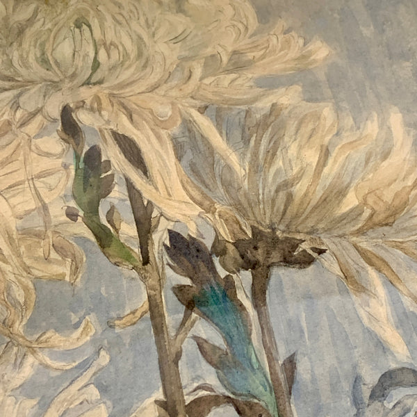 Chrysanthemum blomster. Signeret antik akvarel maleri fra 1910.