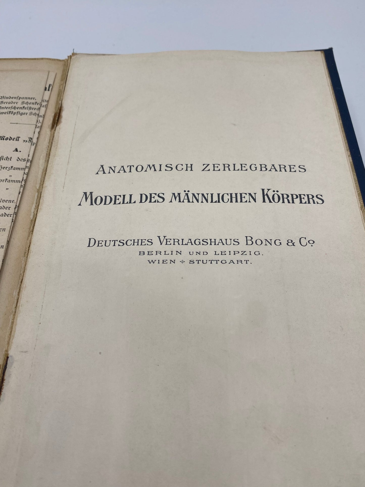 Die Neue Heilmethode. Af M. Platen. Bind 1. Antikvarisk tysk bog. Fra 1902