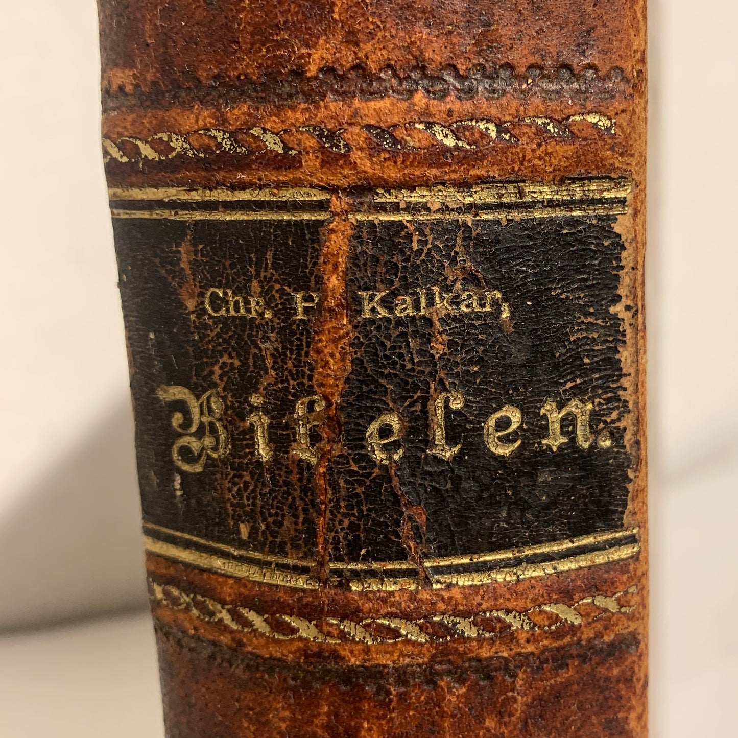 Biblen, Chr. H. Kalkar. Fra 1847. Det nye testamente.