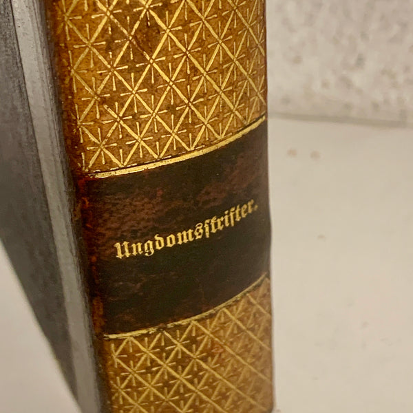 Frederik Paludan Müller. Ungdomspublikationer. Antikvarisk bog. 2.Udgave. Fra 1854.