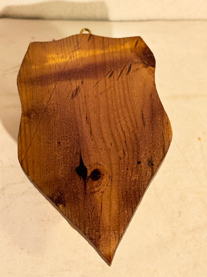 Antik Oribi antilope (Ourebia ourebi) på trofæplade. Start 1900 tallet