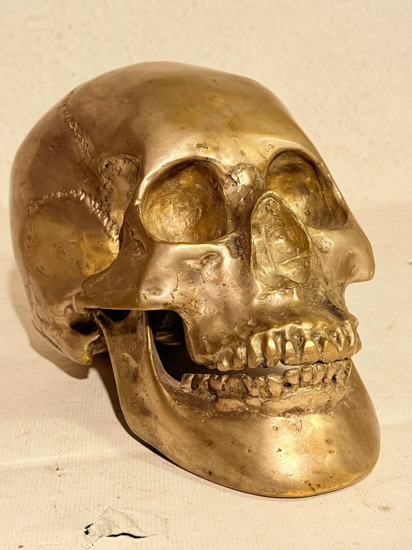 Vintage metal menneske kranie (Cranium homo sapiens)