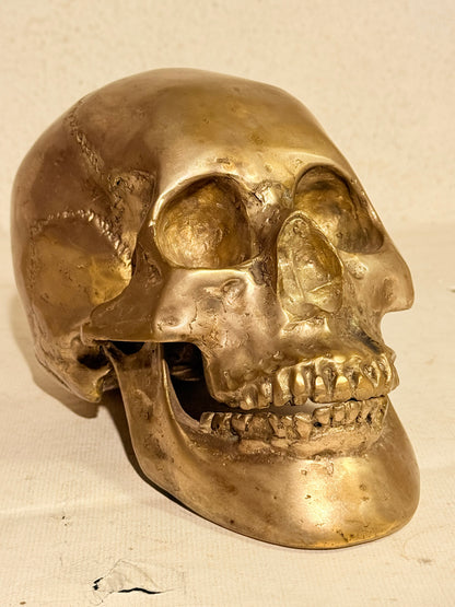 Vintage metal menneske kranie (Cranium homo sapiens)