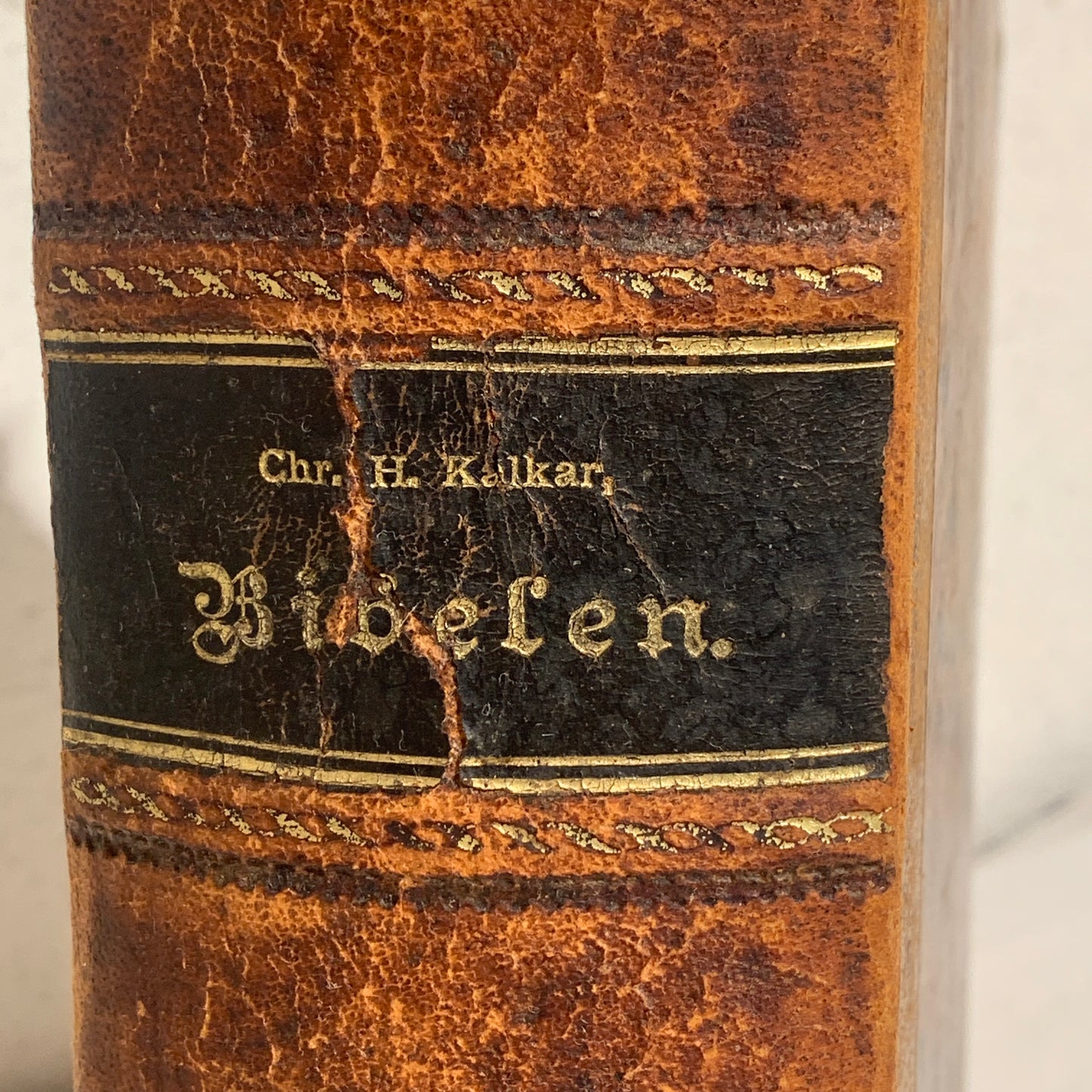 Biblen, Chr. H. Kalkar. Fra 1847. Det gamle testamente m.m