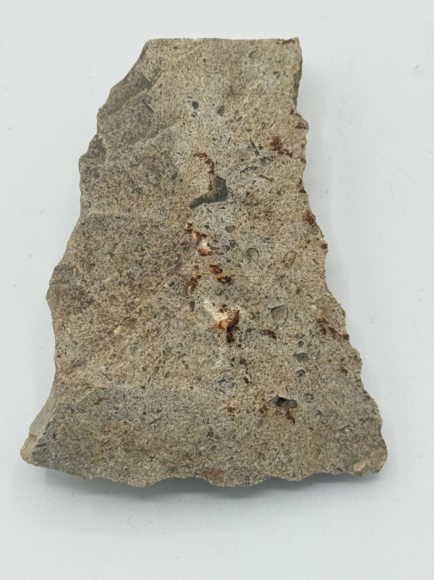 Dansk Stenalder. Asymmetrisk skiveøkse i flint. Sen Ertebølletid: 4500-3900 F.Kr