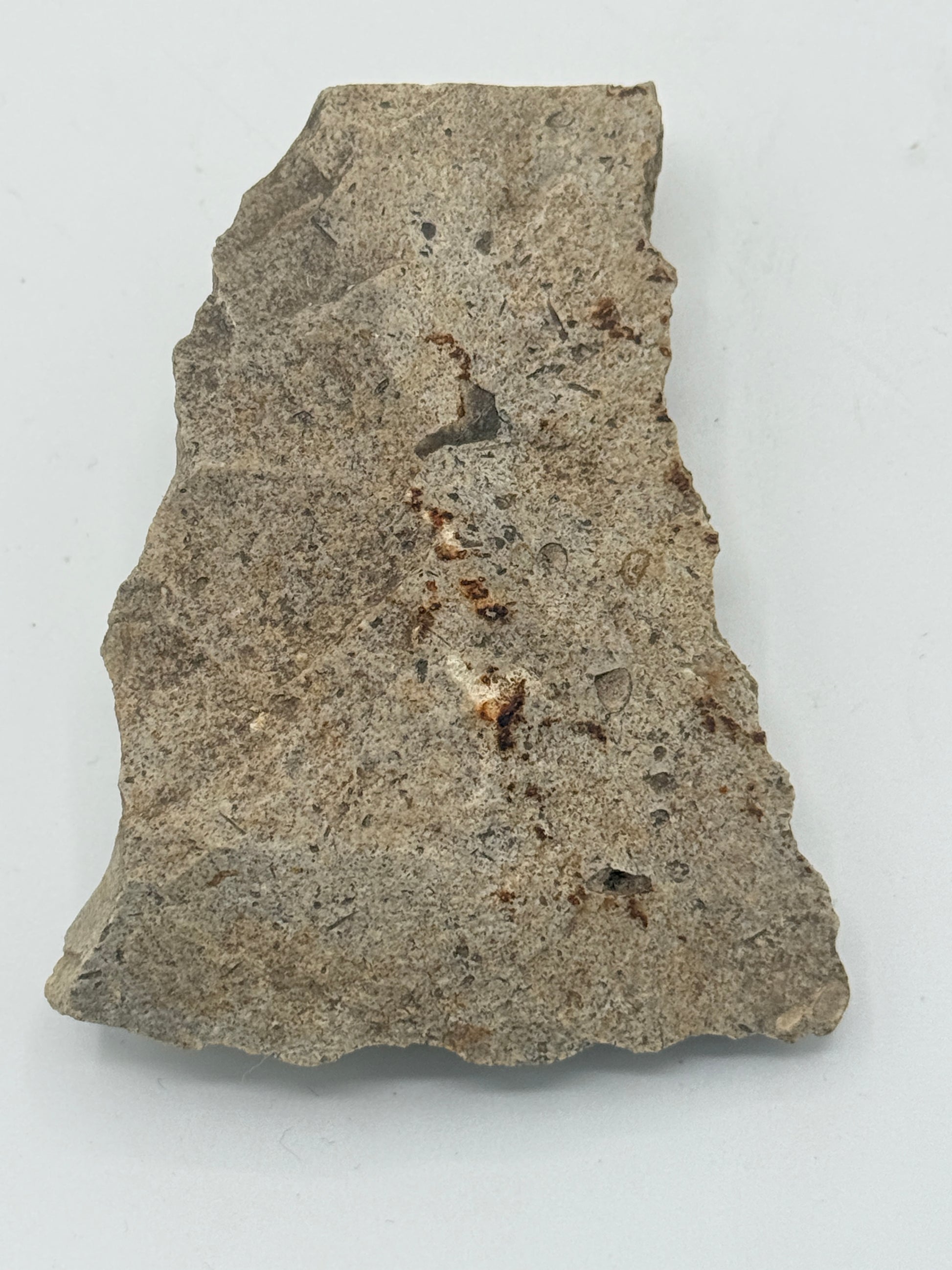 Dansk Stenalder. Asymmetrisk skiveøkse i flint. Sen Ertebølletid: 4500-3900 F.Kr