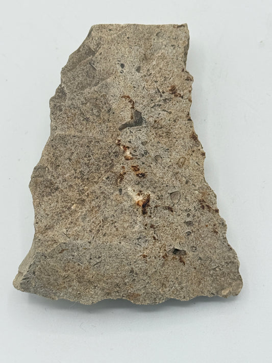 Dansk Stenalder. Asymmetrisk skiveøkse i flint. Sen Ertebølletid: 4500-3900 F.Kr