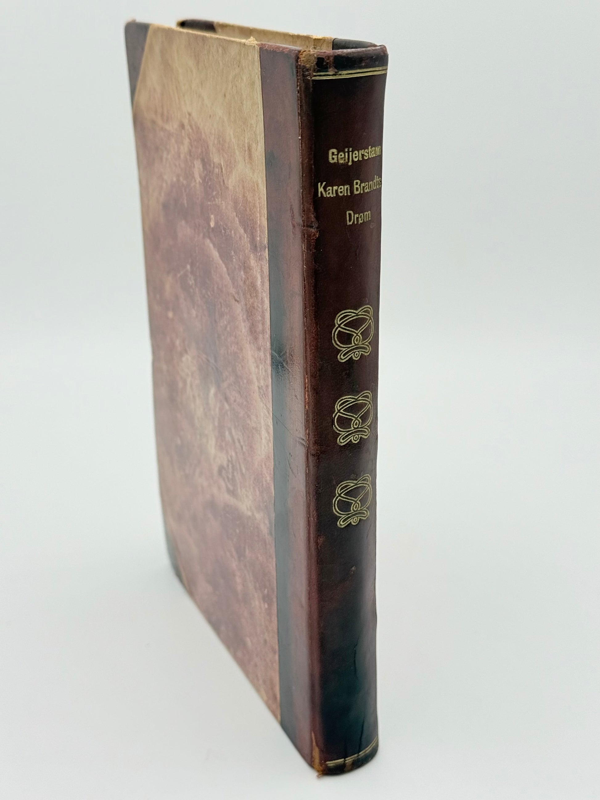 Karen Brandts drøm. Af Gustaf af Geijerstam. Antikvarisk dansk bog. 1. Udgave. 1. Oplag. Fra 1905