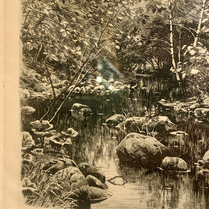 Peder Mørk Mønsted (f.1859-1941.) Radering af skovparti, fra 1902.