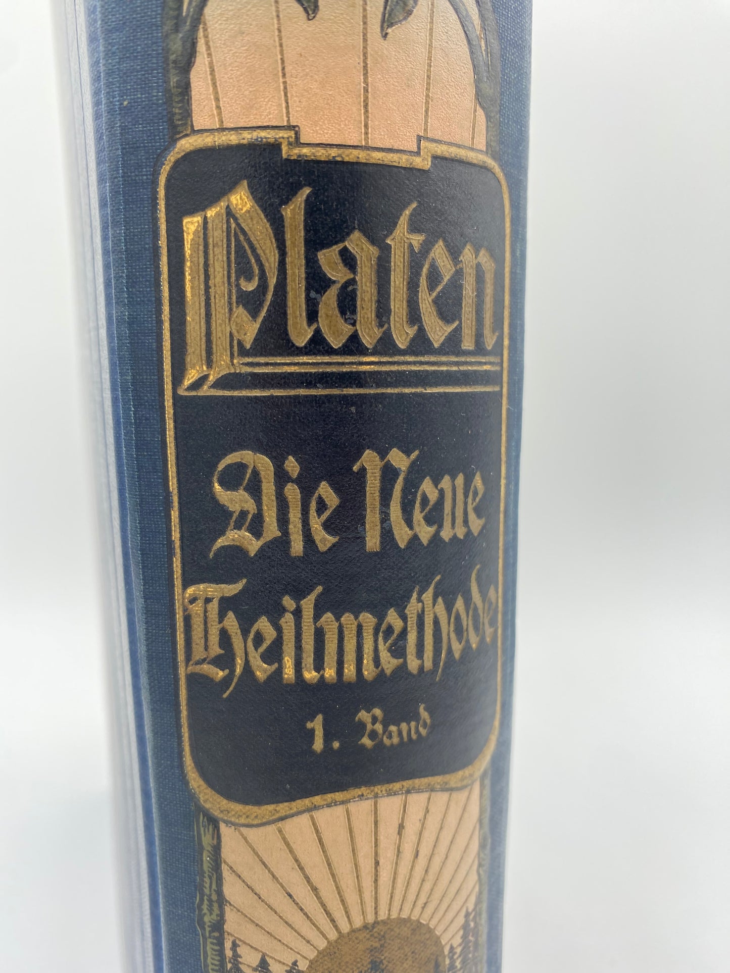 Die Neue Heilmethode. Af M. Platen. Bind 1. Antikvarisk tysk bog. Fra 1902