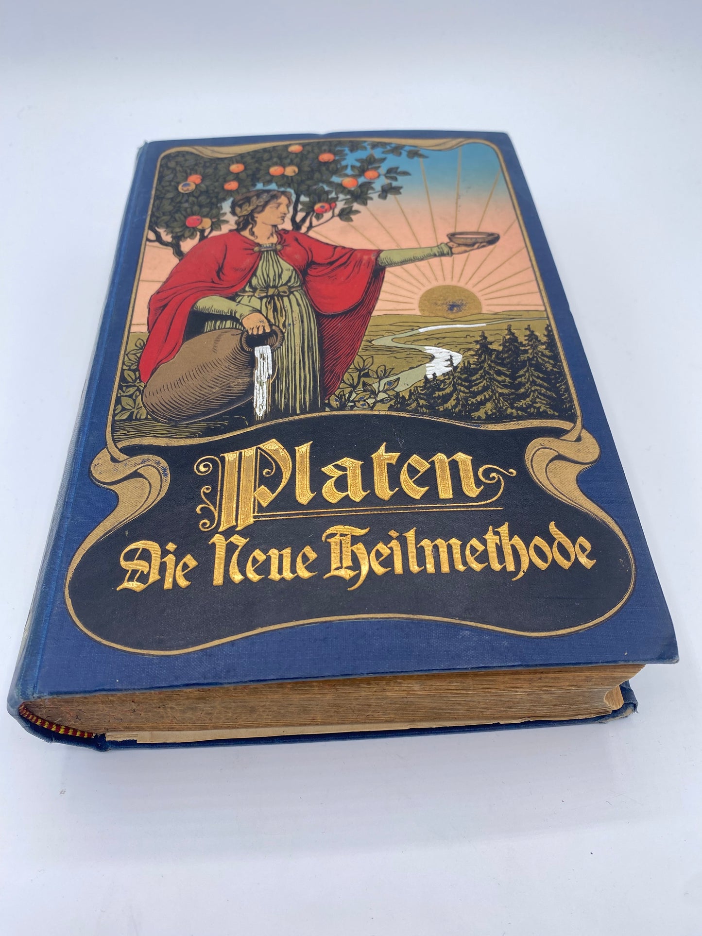 Die Neue Heilmethode. Af M. Platen. Bind 1. Antikvarisk tysk bog. Fra 1902