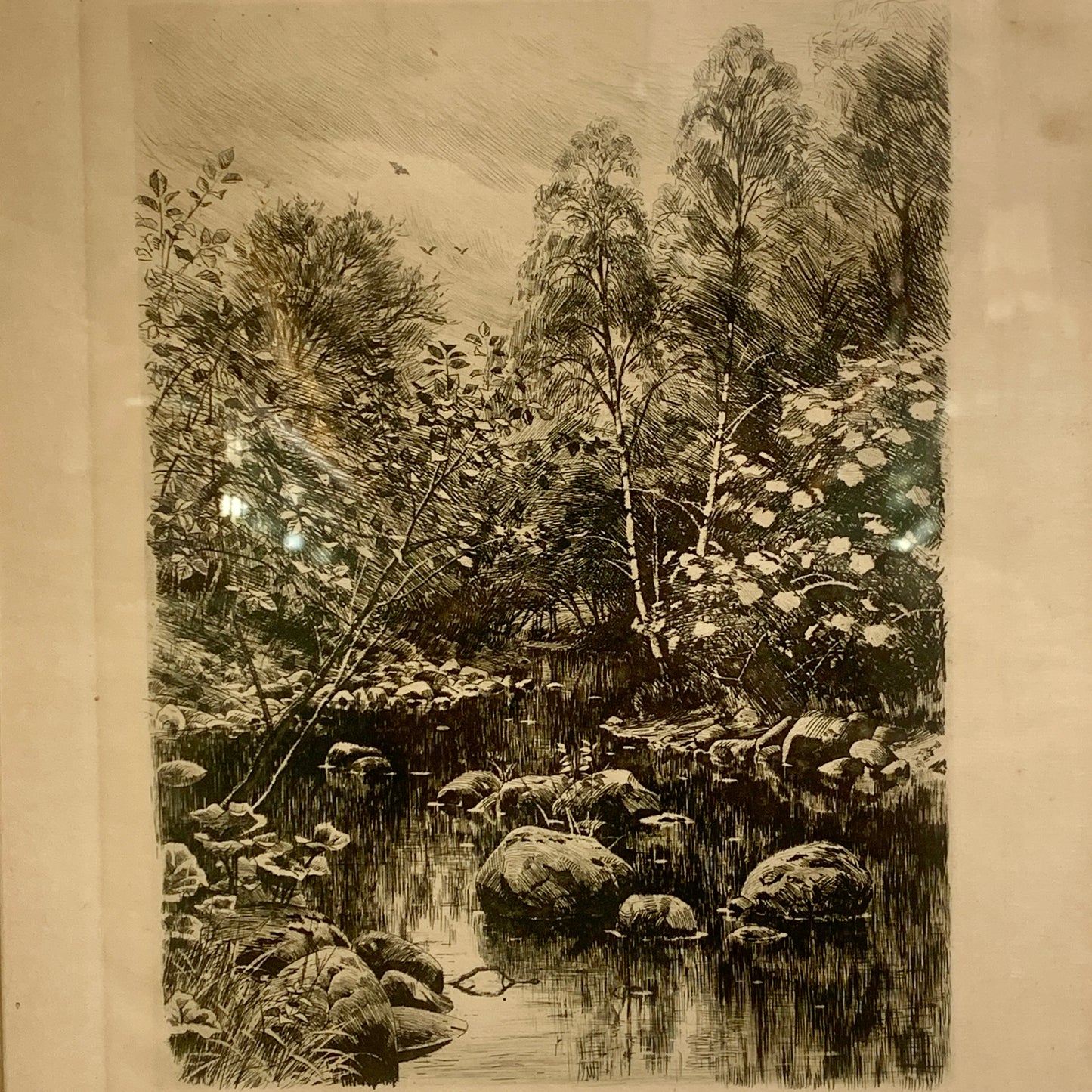 Peder Mørk Mønsted (f.1859-1941.) Radering af skovparti, fra 1902.