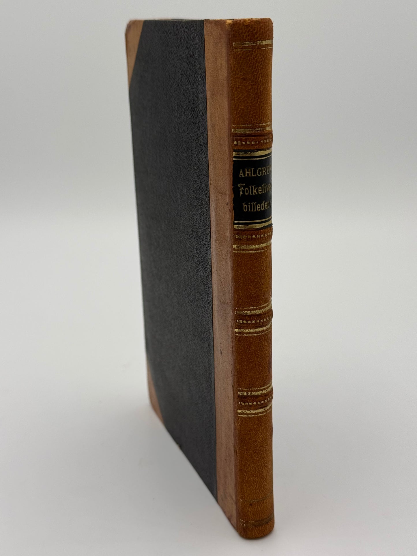 Folkelivsbilleder. Af Ernst Uhlgren. Antikvarisk dansk bog. 1.Udgave. 1.Oplag. Fra 1888