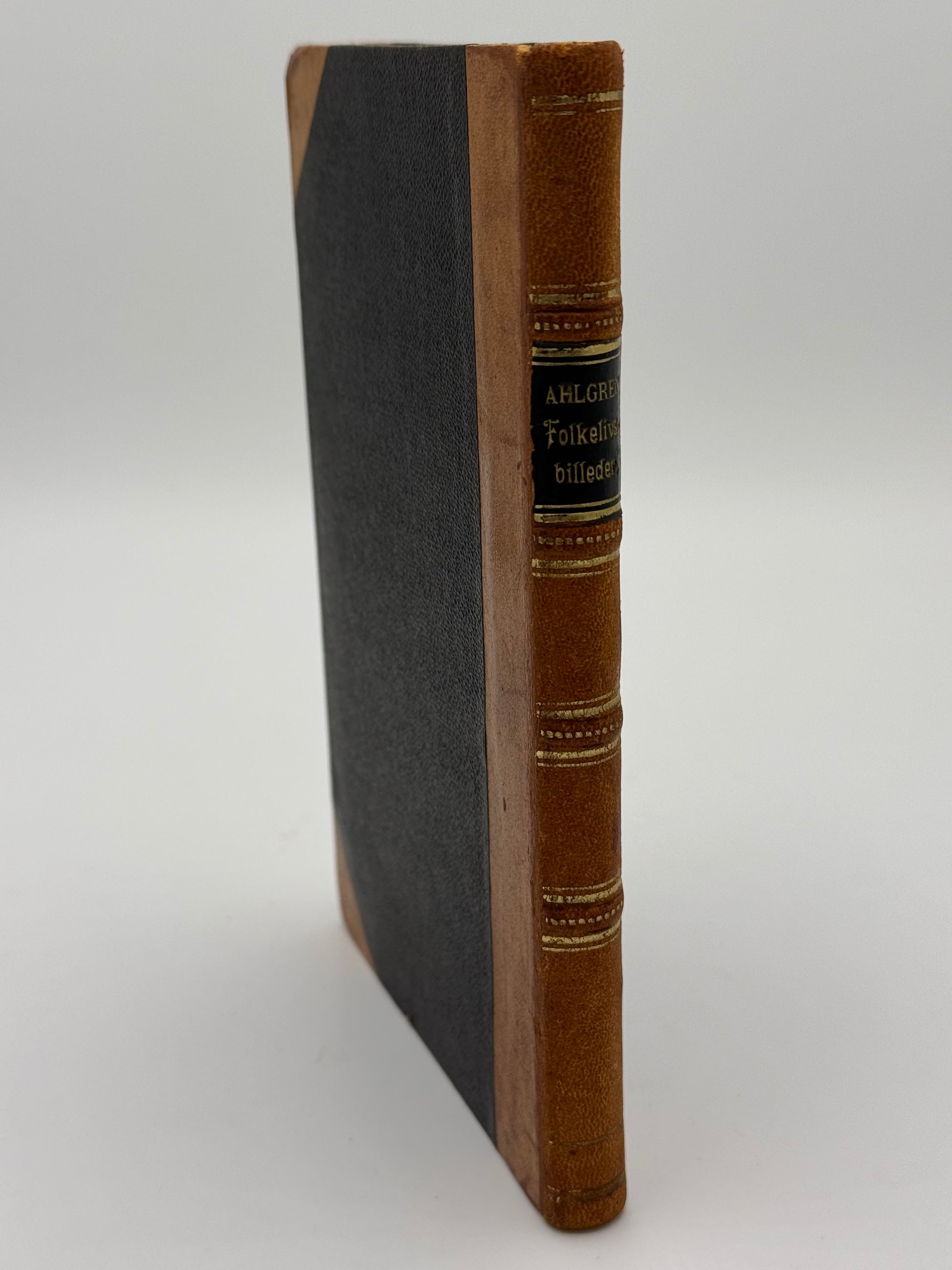 Folkelivsbilleder. Af Ernst Uhlgren. Antikvarisk dansk bog. 1.Udgave. 1.Oplag. Fra 1888
