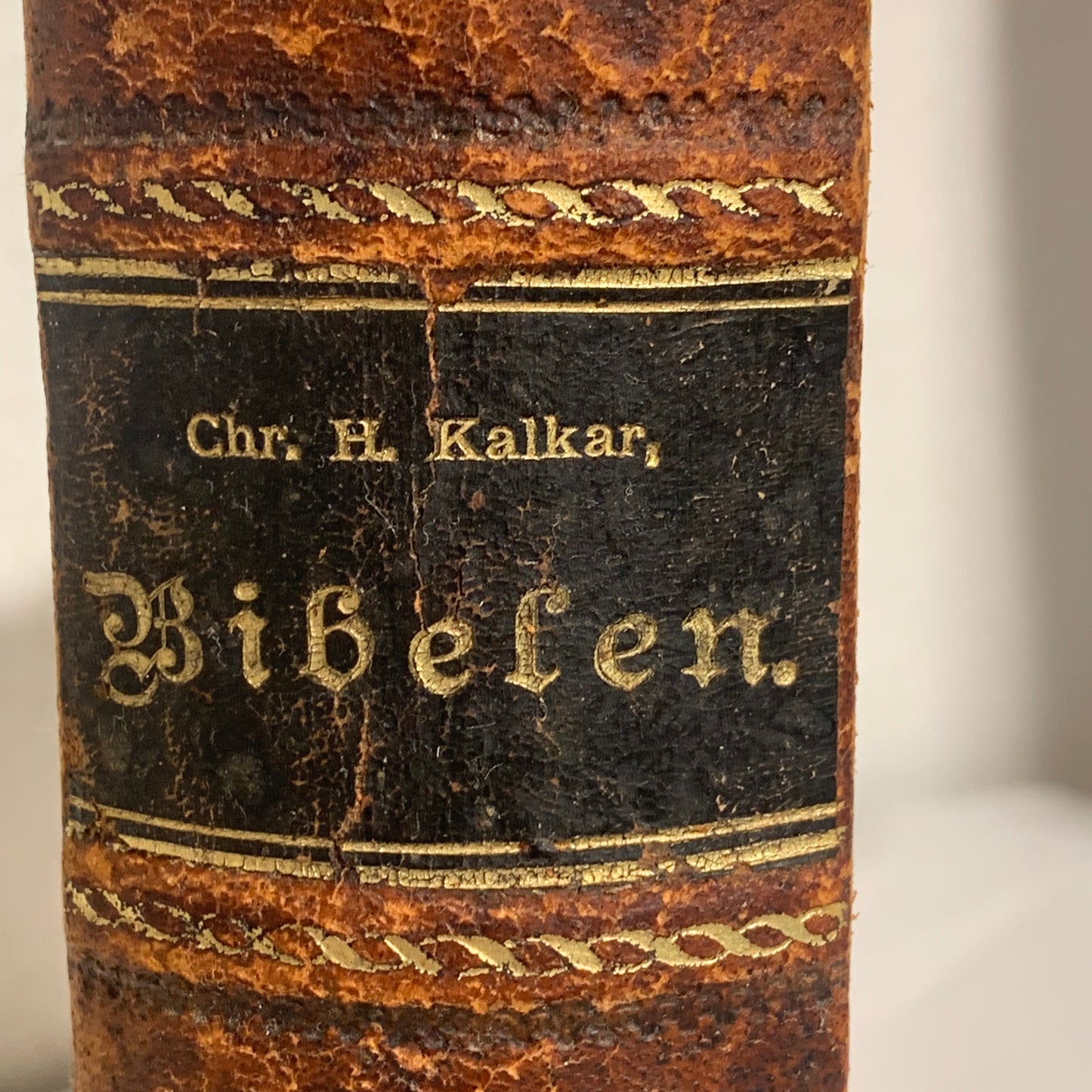 Biblen, Chr. H. Kalkar. Fra 1847. Det gamle testamente m.m.