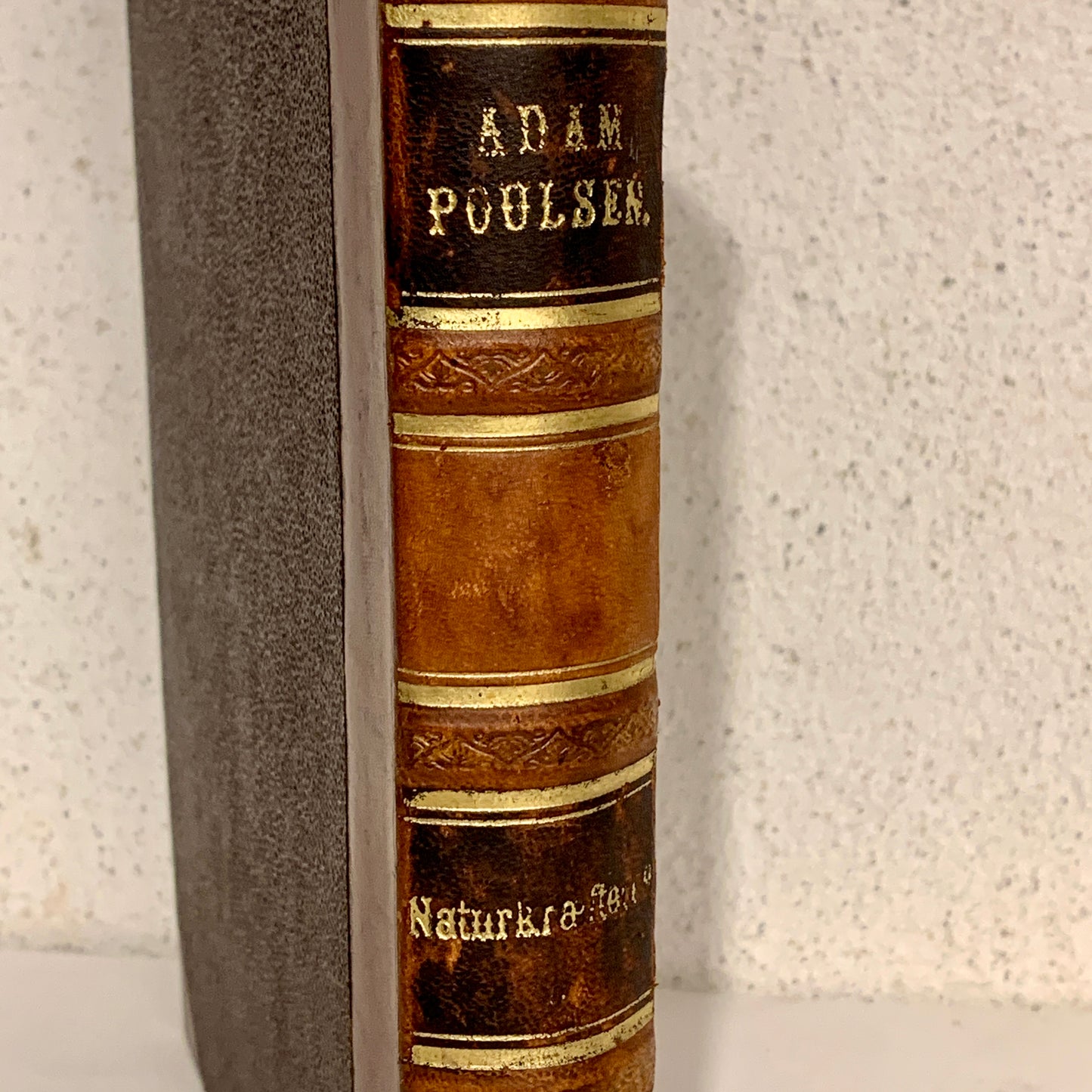 Adam Poulsen. Naturkræfterne. Antikvarisk bog. 1.Udgave. 1.Oplag. Fra 1874.