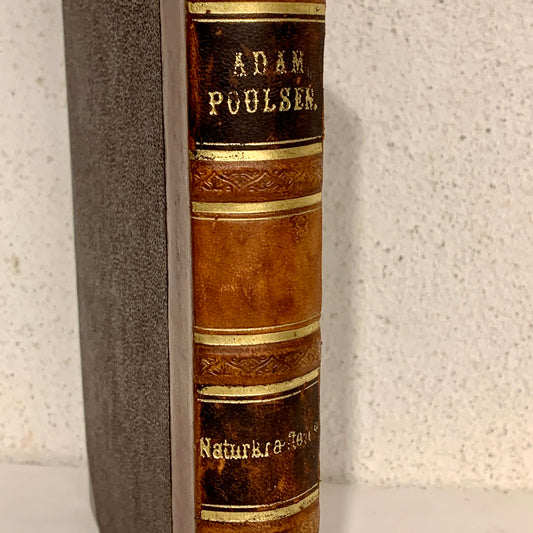 Adam Poulsen. Naturkræfterne. Antikvarisk bog. 1.Udgave. 1.Oplag. Fra 1874.