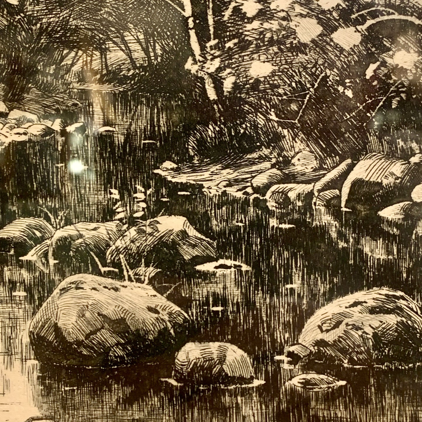 Peder Mørk Mønsted (f.1859-1941.) Radering af skovparti, fra 1902.