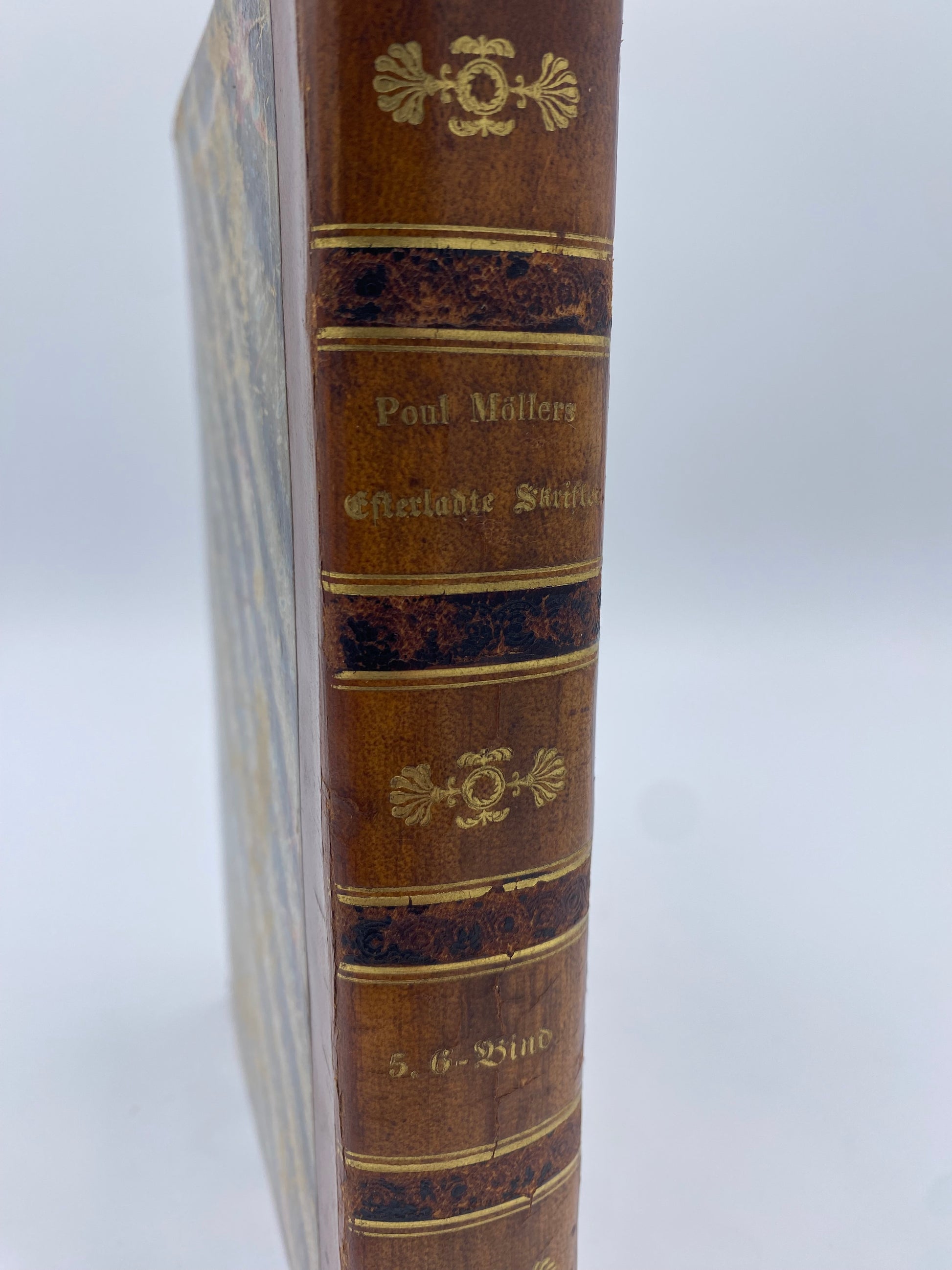 Efterladte Skrifter. 5. Bind. Af Poul M. Møller. Antikvarisk dansk bog. 2. Udgave. 1.Oplag. Fra 1849