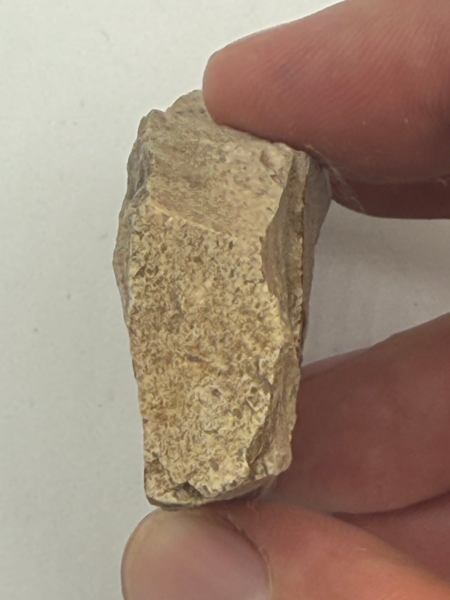 Dansk Stenalder. Asymmetrisk skiveøkse i flint. Sen Ertebølletid: 4500-3900 F.Kr