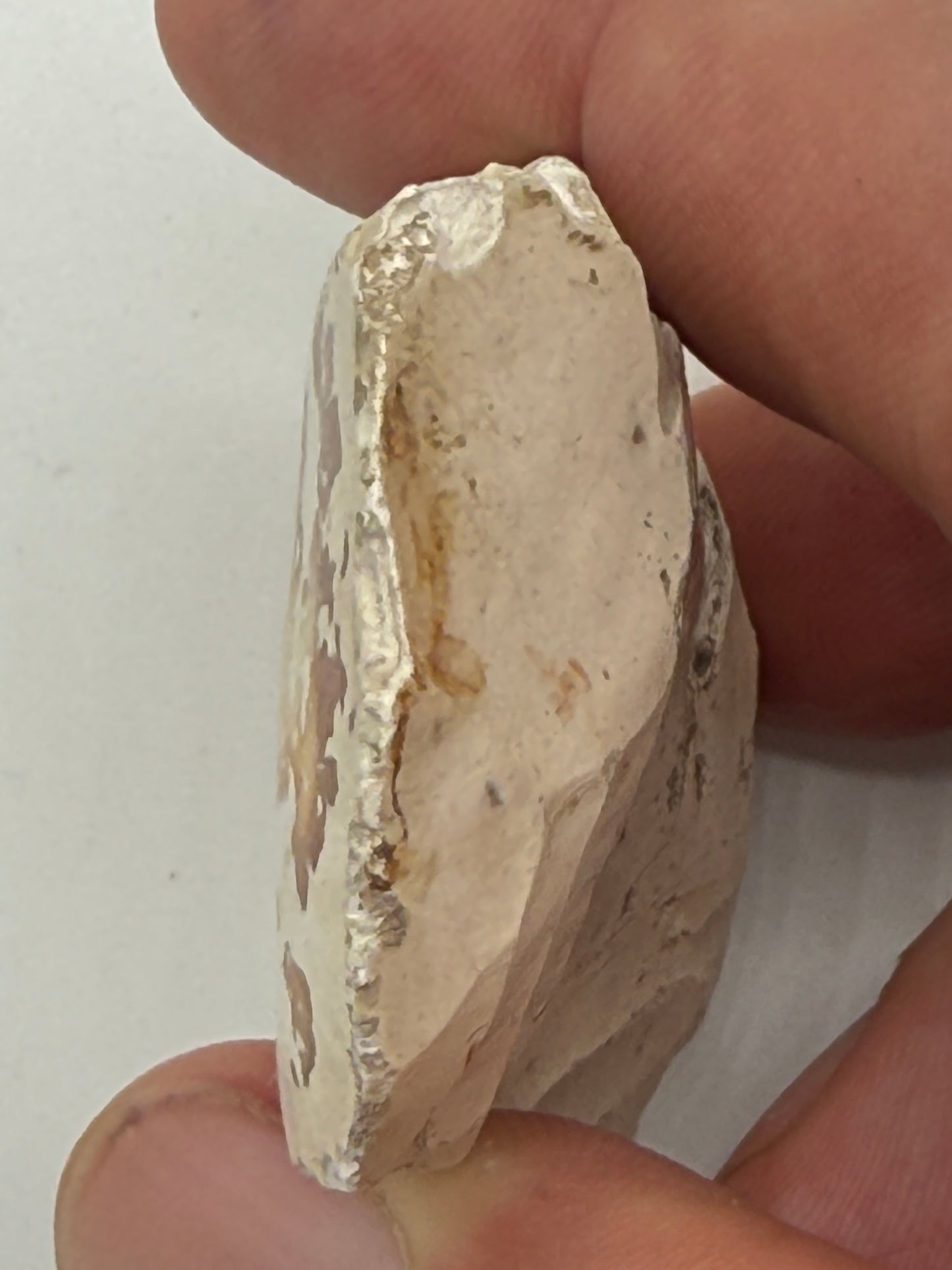 Dansk Stenalder. Asymmetrisk skiveøkse i flint. Sen Ertebølletid: 4500-3900 F.Kr