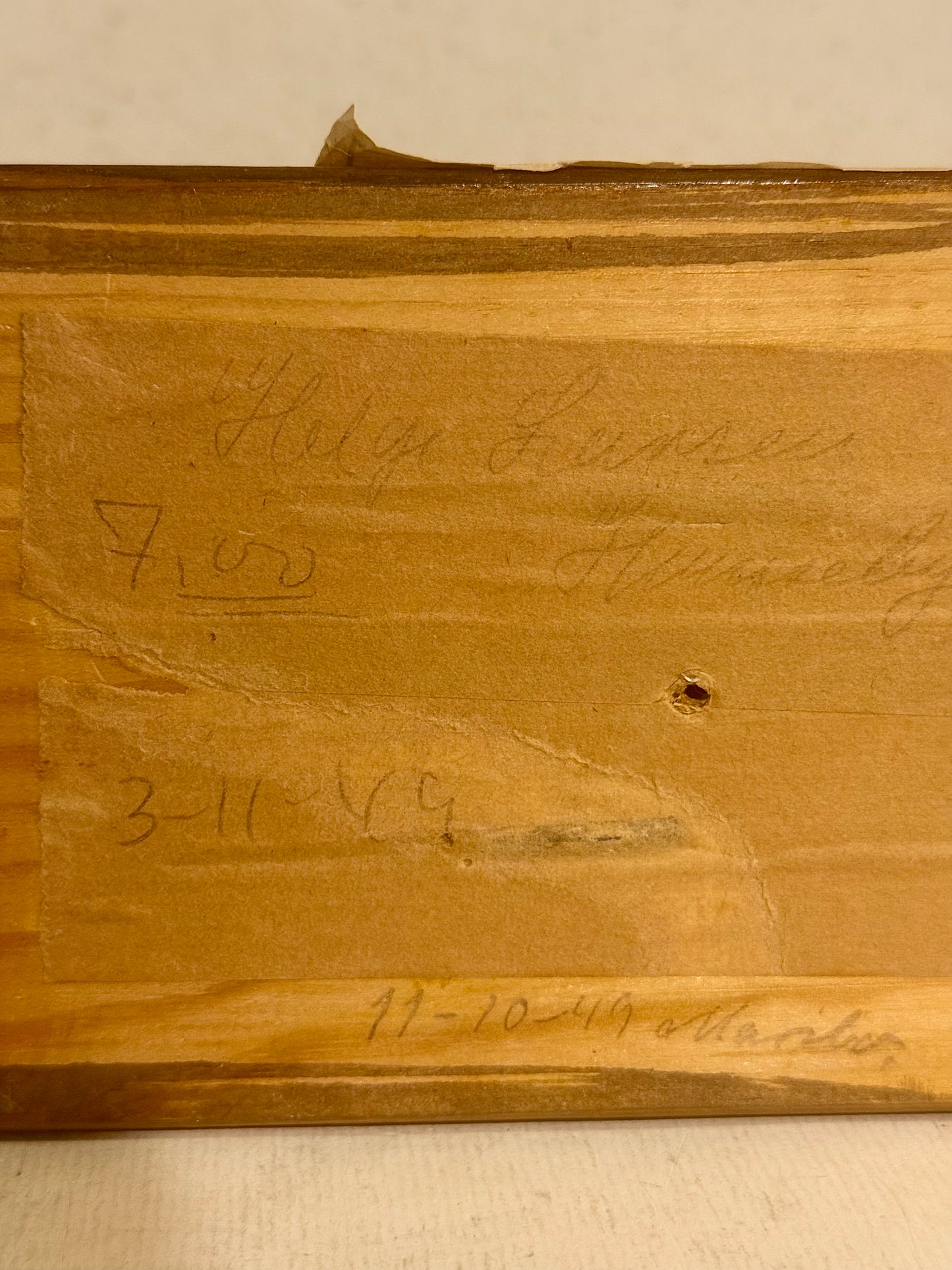 Udstoppet fugl, Hvidklire (Tringa nebularia) Fra 1949.