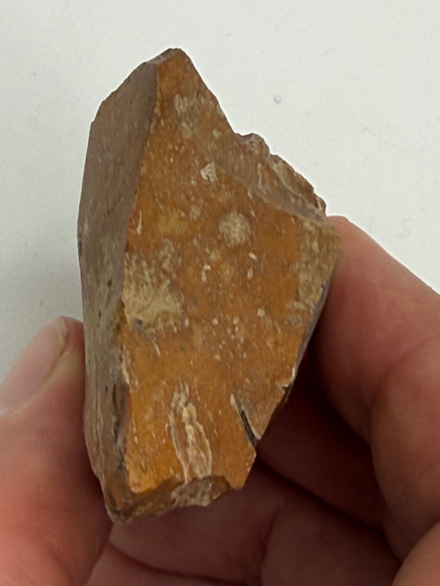 Dansk Stenalder. Symmetrisk skiveøkse i flint. Sen Ertebølletid: 4500-3900 F.Kr