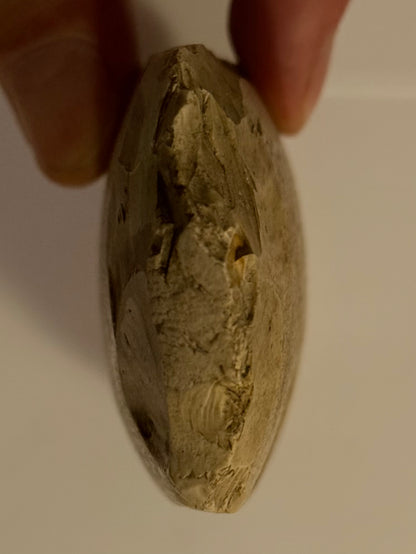 Dansk oldsag. Tyndnakket firsidet flintøkse. Type IIIb. Tragtbægerkultur