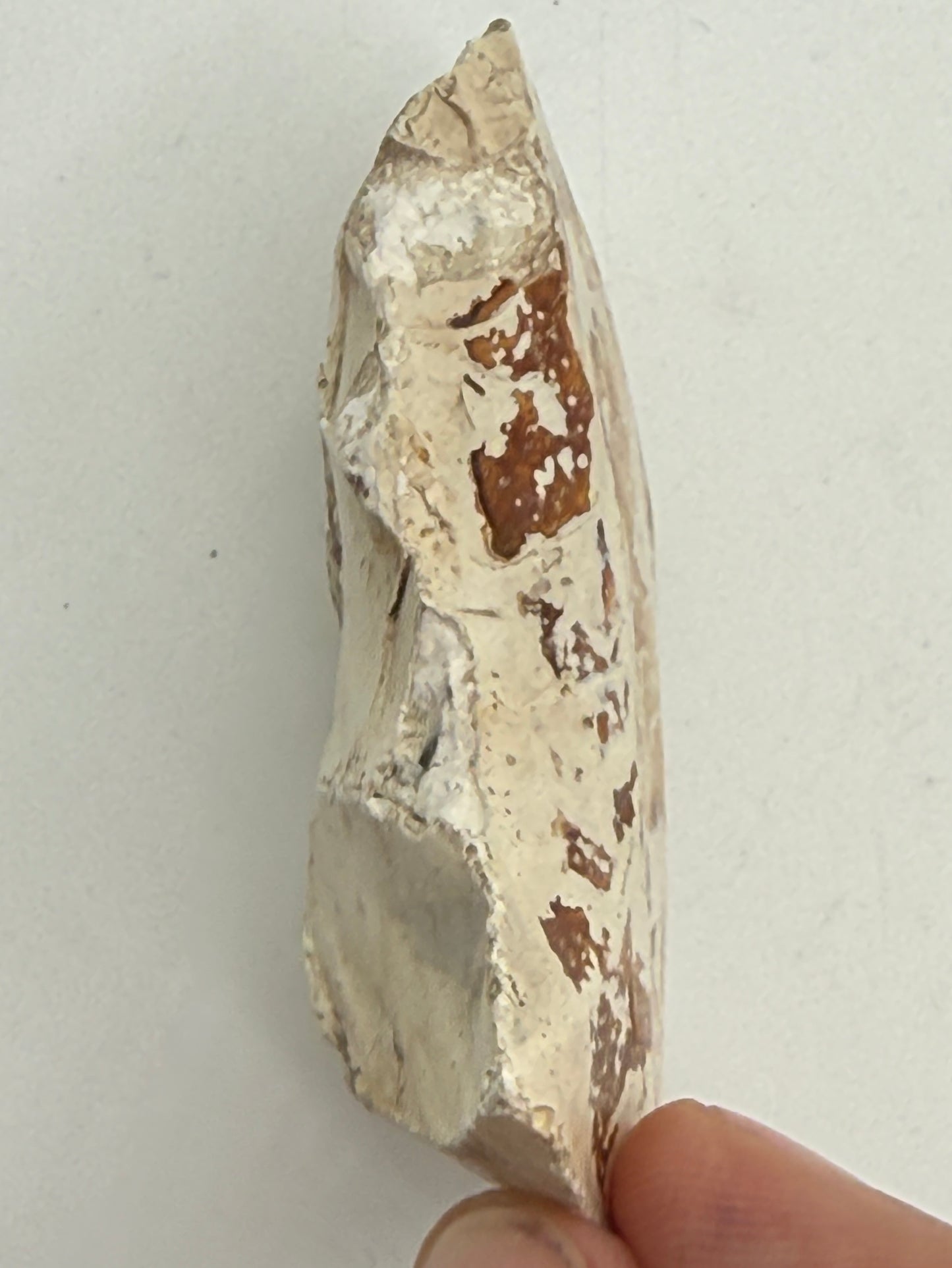 Dansk Stenalder. Asymmetrisk skiveøkse i flint. Sen Ertebølletid: 4500-3900 F.Kr