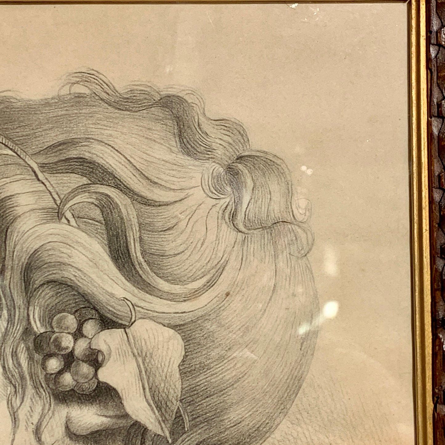 Afrodite. Antik blyants tegning fra start/midt 1800 tallet.