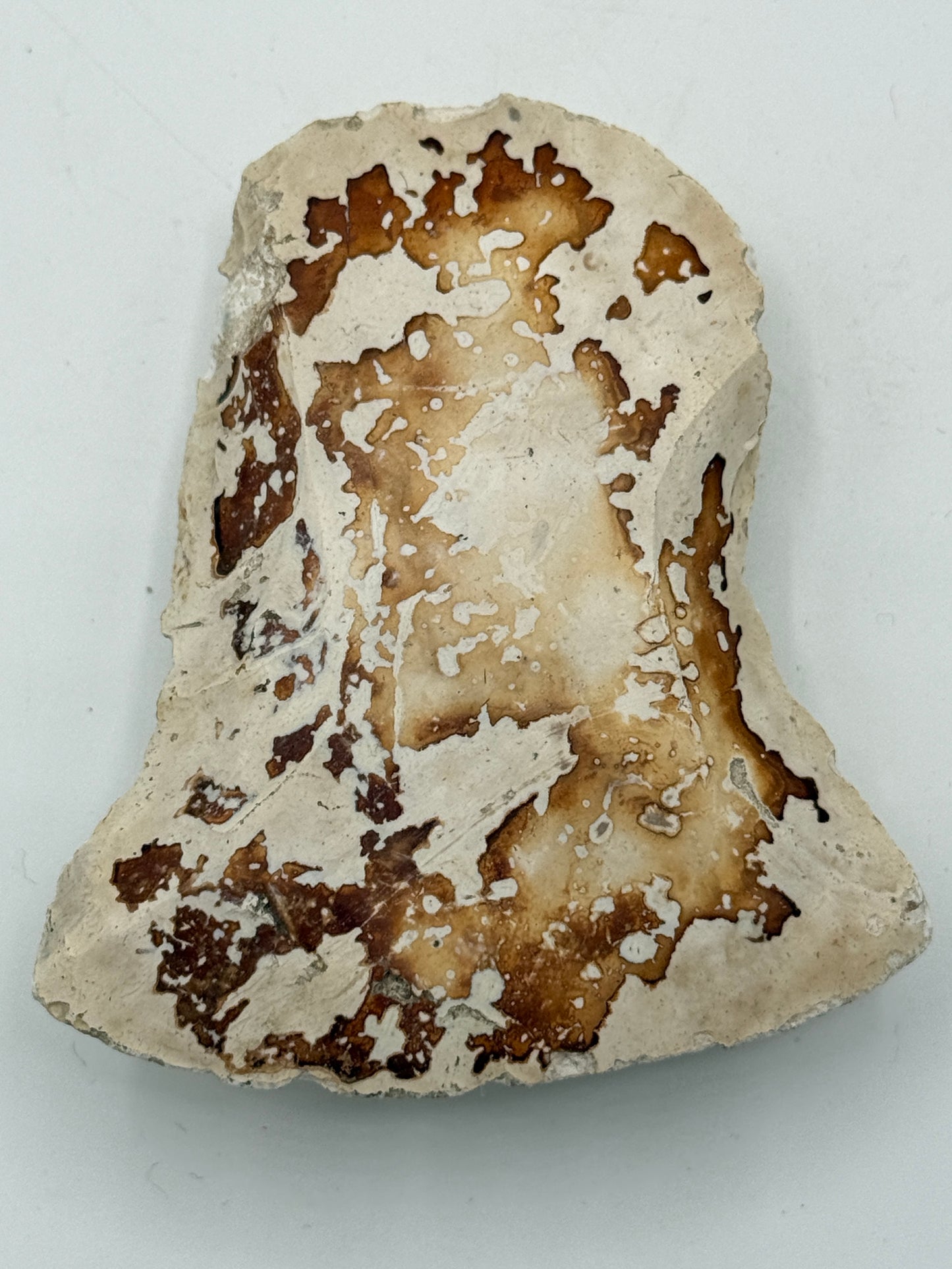 Dansk Stenalder. Asymmetrisk skiveøkse i flint. Sen Ertebølletid: 4500-3900 F.Kr